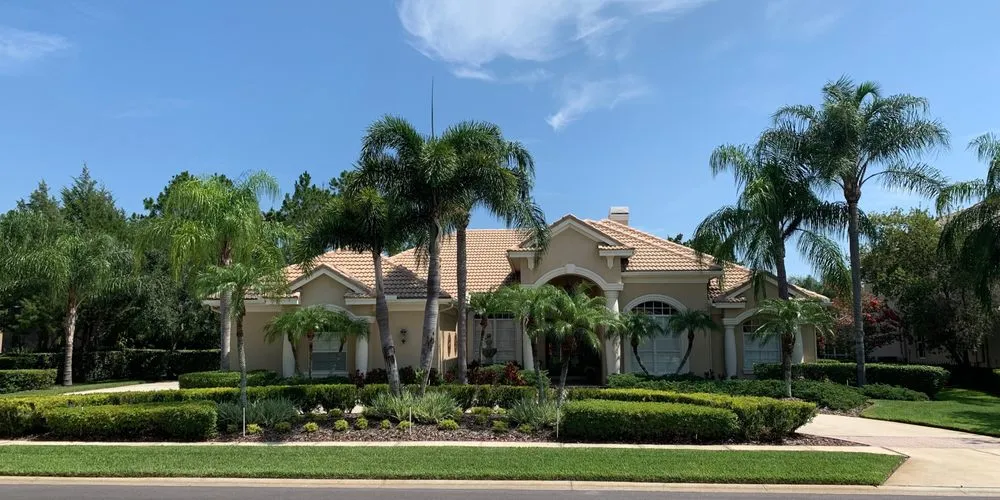 Expert yard maintenance for year-round maintenance in Tampa, FL by Rusty's Lawn & Landscaping