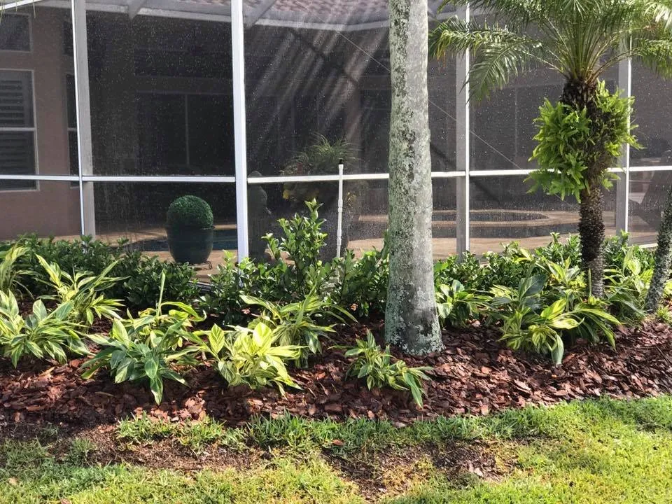 Expert landscape installation with custom design across Tampa, FL - Rusty's Lawn & Landscaping