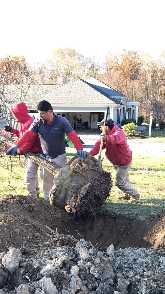 Expert yard cleanup service in Ringoes, NJ - Rutgers Landscape & Nursery