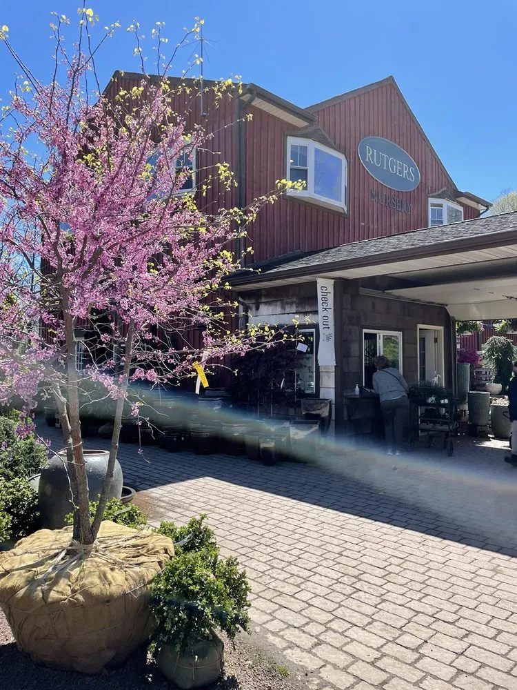 Custom yard cleanup service for beautiful yards in Ringoes, NJ by Rutgers Landscape & Nursery