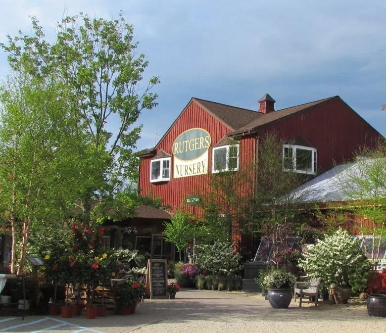 Local yard maintenance in Ringoes, NJ by Rutgers Landscape & Nursery