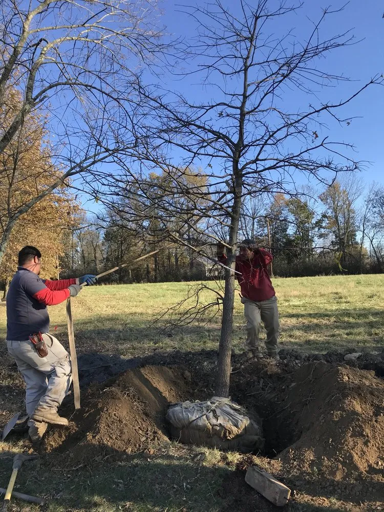 Affordable yard cleanup service for residential properties in Ringoes, NJ by Rutgers Landscape & Nursery
