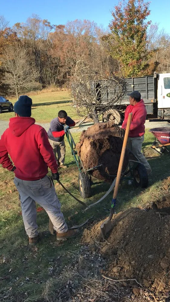 Custom yard maintenance in Ringoes, NJ - Rutgers Landscape & Nursery