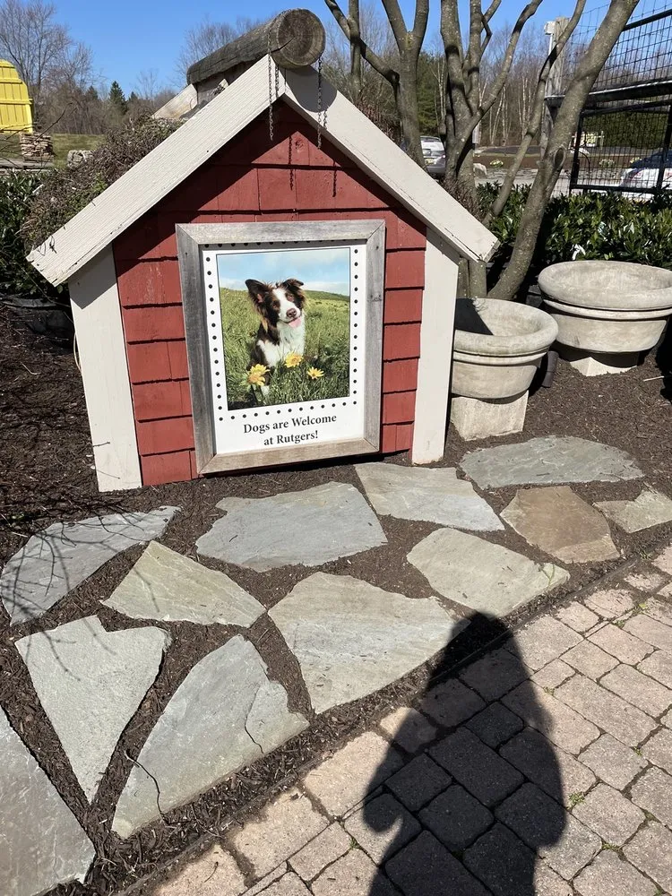 Reliable lawn care service in Ringoes, NJ by Rutgers Landscape & Nursery