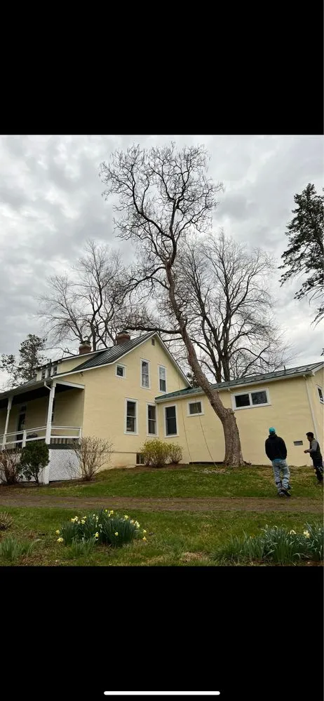 Trusted landscaping services for beautiful yards across Front Royal, VA - Rutherfords Outdoor Services