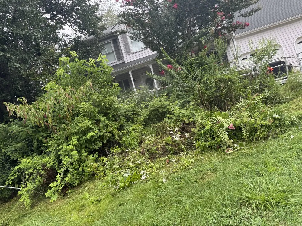 Expert landscaping services with custom design across Front Royal, VA - Rutherfords Outdoor Services