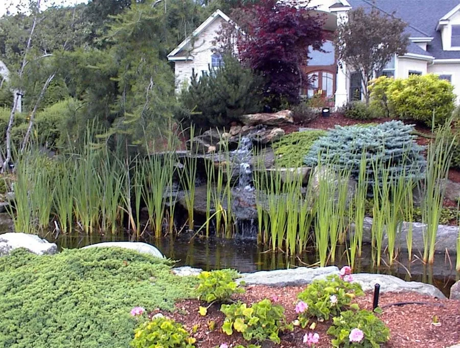 Reliable yard cleanup service for beautiful yards across Rutland, MA - Rutland Nurseries, Inc.