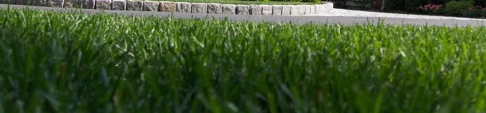 Custom garden landscaping experts serving Marlborough, MA - Rutland Turf Care