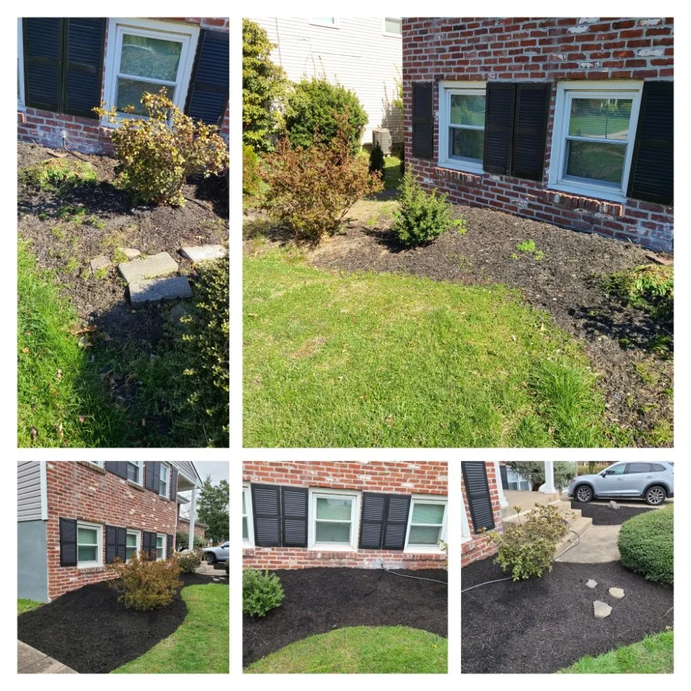Local yard cleanup service in Moorestown, NJ by Ruzi's Landscaping