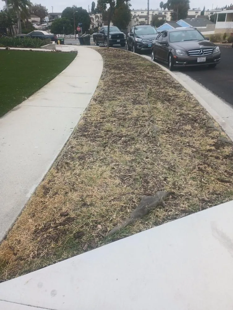 Professional lawn care service near you across Santa Ana, CA - Rv Gardening And Landscape