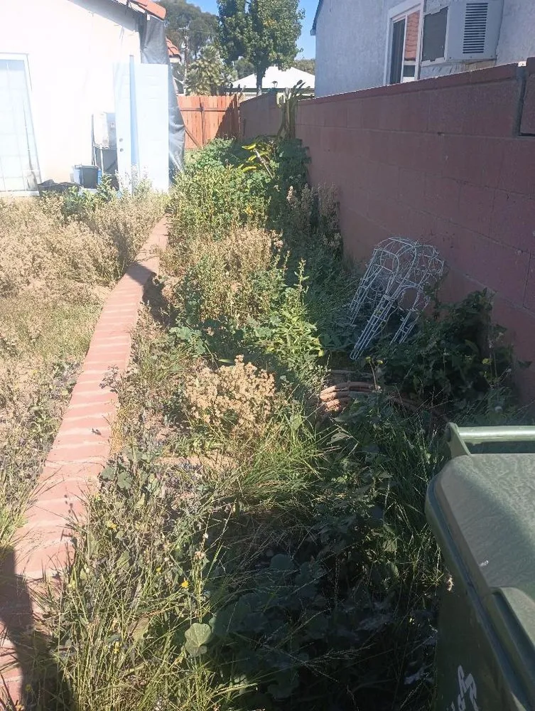 Affordable outdoor landscaping experts serving Santa Ana, CA - Rv Gardening And Landscape