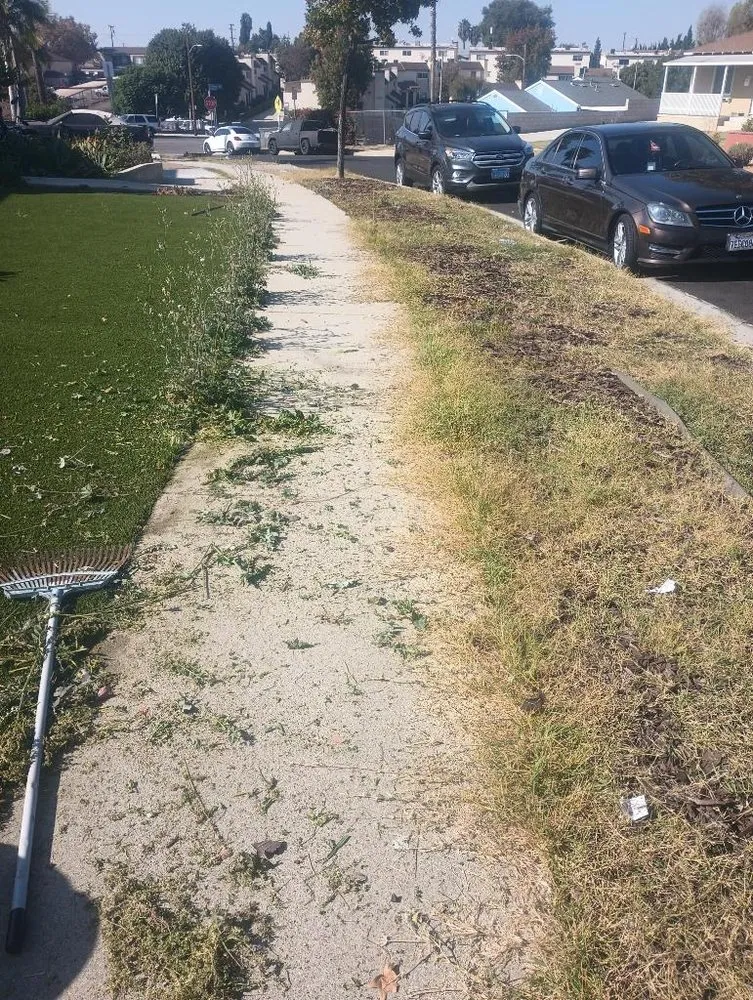 Expert landscaping services in Santa Ana, CA by Rv Gardening And Landscape