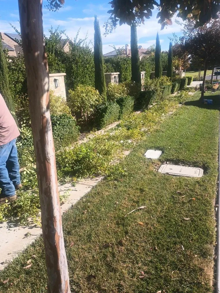 Top-rated garden landscaping experts serving Santa Ana, CA - Rv Gardening And Landscape