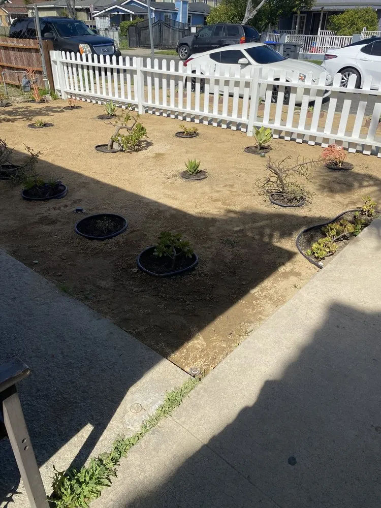 Local landscape design for beautiful yards in Santa Ana, CA by Rv Gardening And Landscape