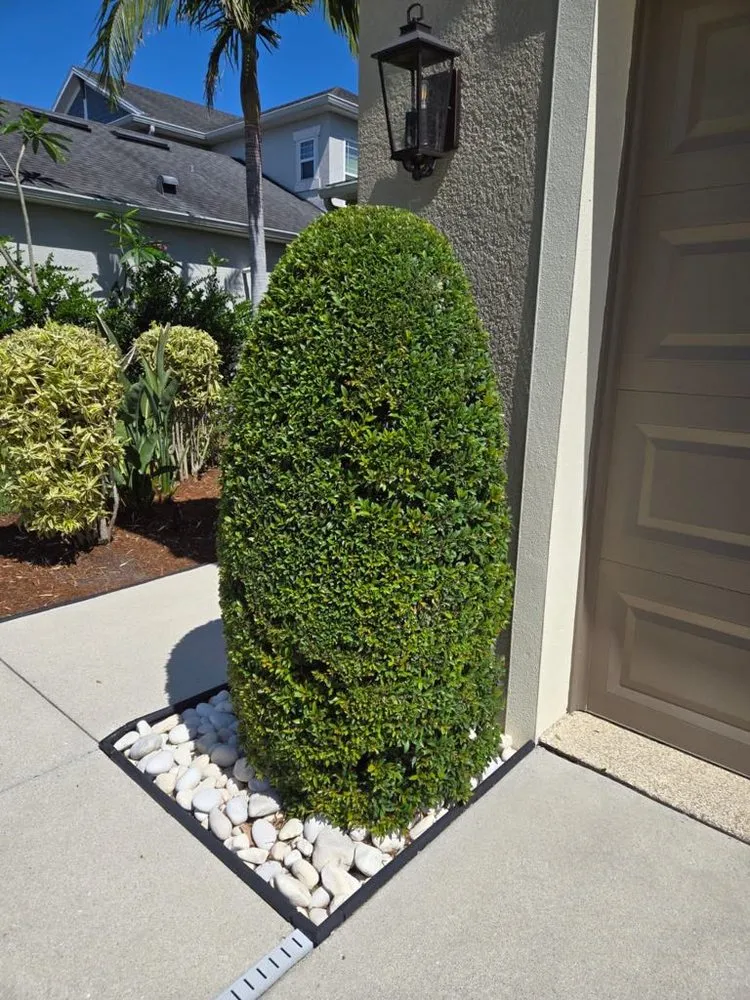 Local garden landscaping in Sarasota, FL - RV Golden Garden