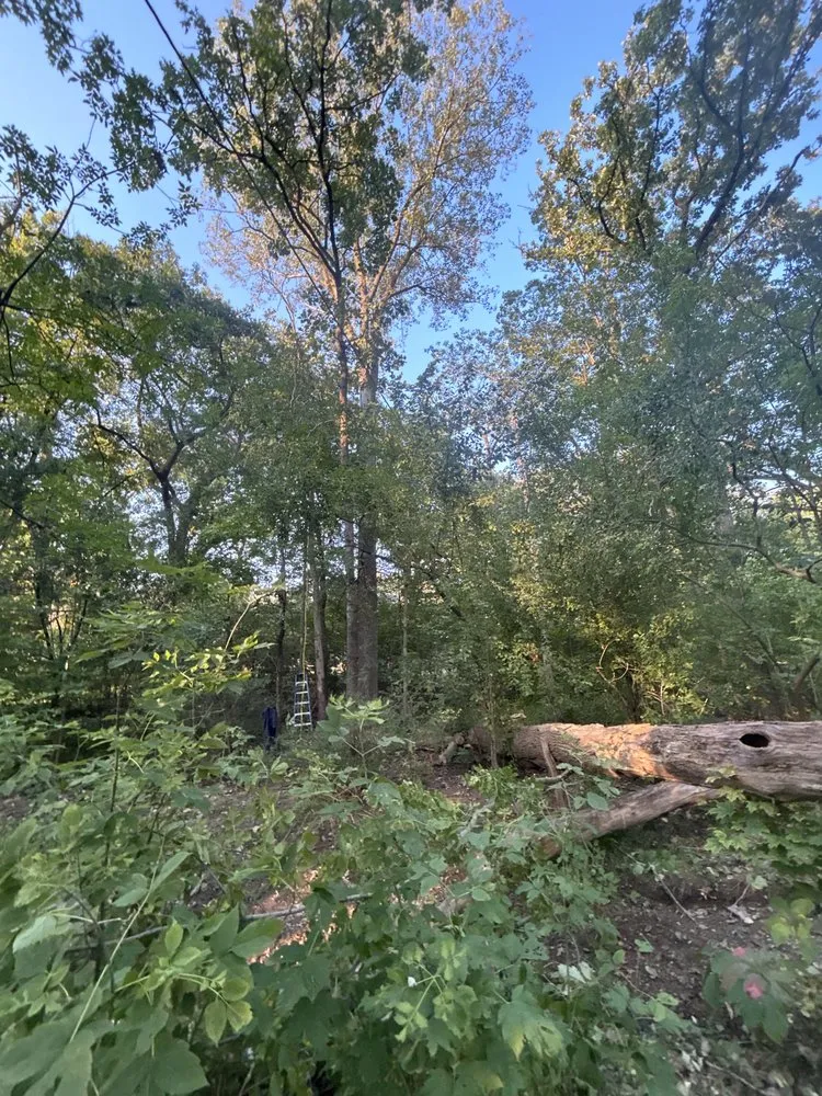 Local yard maintenance in Palatine, IL - RV Landscaping and Snow Removal