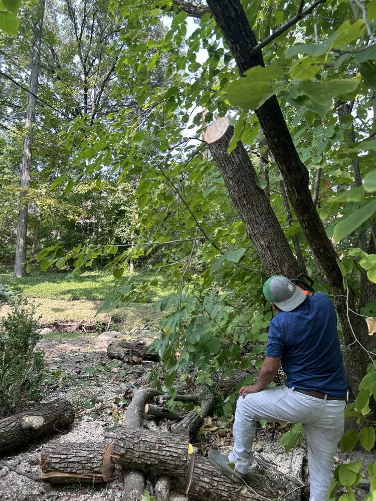 Affordable outdoor landscaping in Palatine, IL by RV Landscaping and Snow Removal