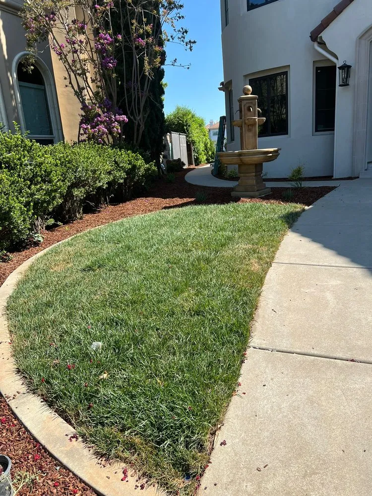 Reliable landscaping services in Rancho Cordova, CA - R&V Landscaping