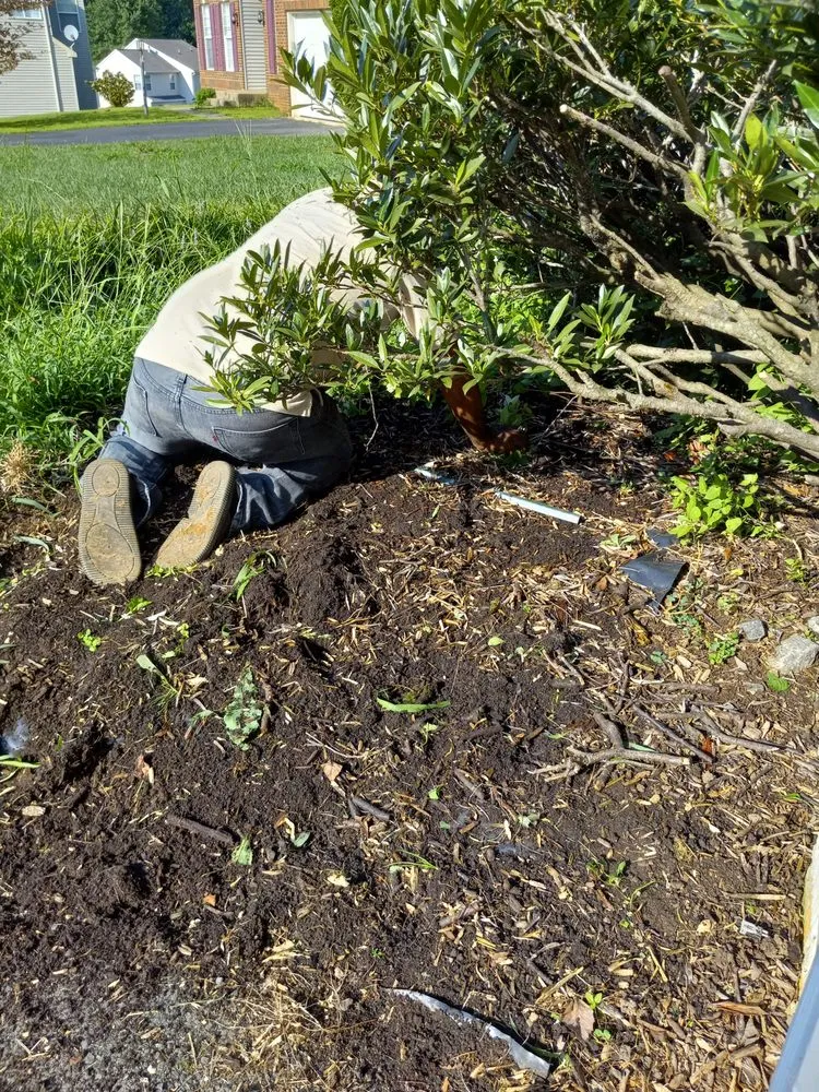 Top-rated lawn mowing service in Woodbridge, VA by RV Landscaping Services