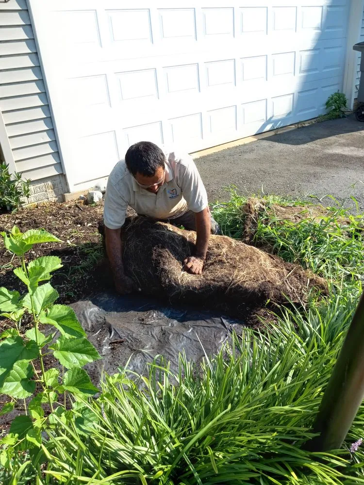 Custom landscape installation experts serving Woodbridge, VA - RV Landscaping Services