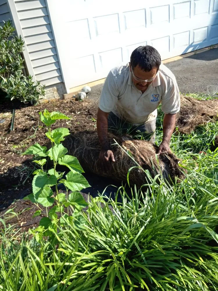 Local landscape design in Woodbridge, VA by RV Landscaping Services