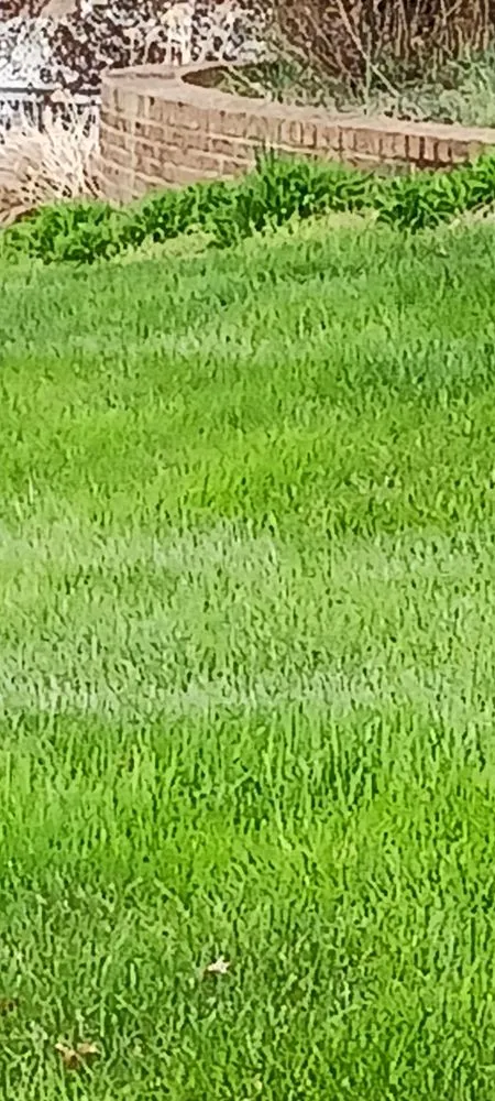 Trusted yard cleanup service in Woodbridge, VA - RV Landscaping Services