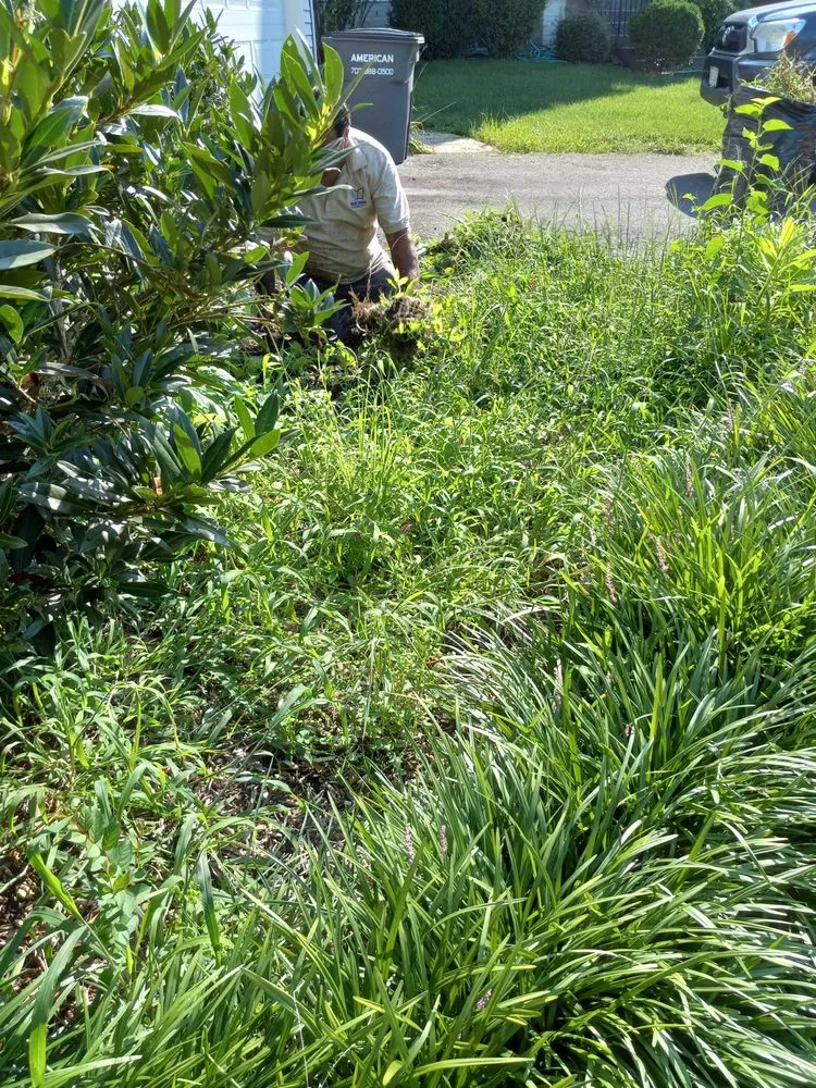 Reliable lawn care service in Woodbridge, VA by RV Landscaping Services