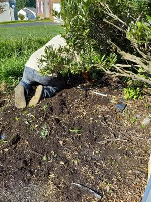 RV Landscaping Services Logo