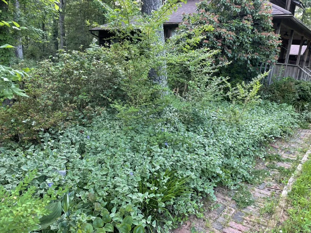 Custom landscape installation in Hickory, NC by R&V Mowing & Landscaping