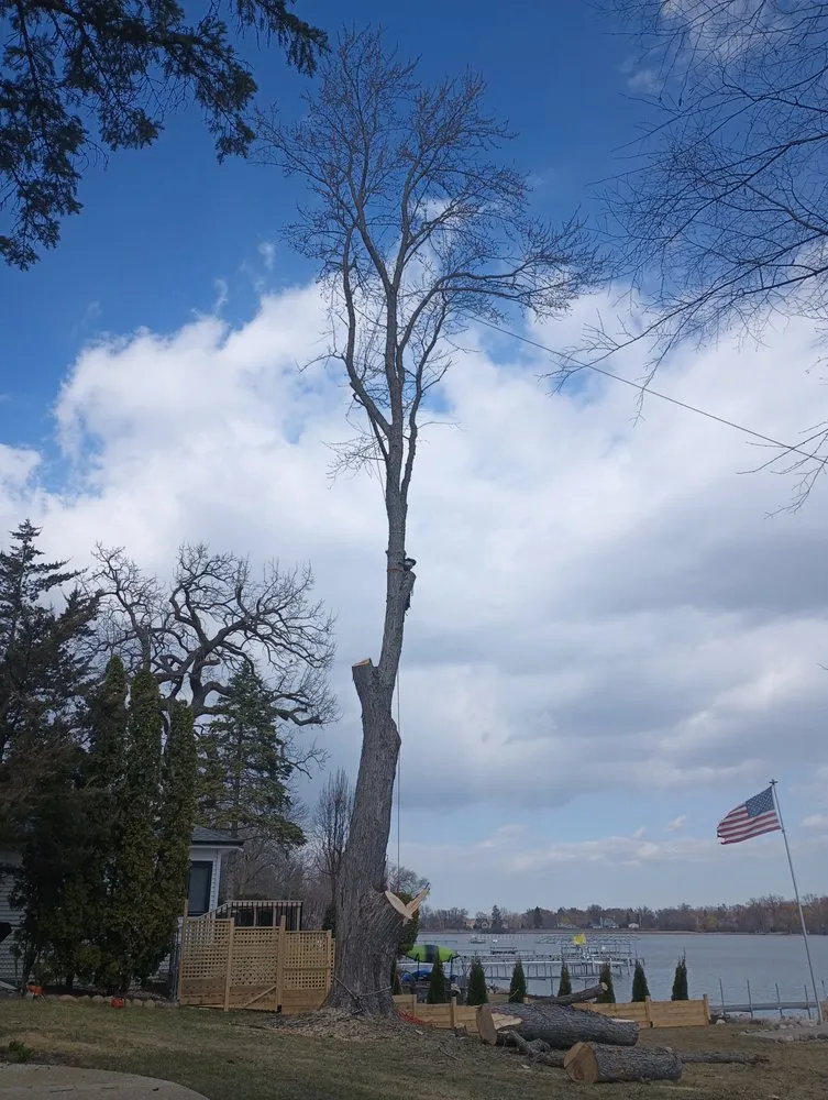 Professional residential landscaping experts serving Woodstock, IL - RV Tree & Landscaping Services