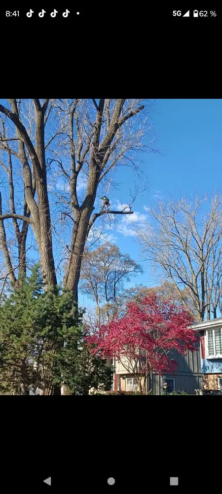 Custom lawn care service for residential properties across Woodstock, IL - RV Tree & Landscaping Services