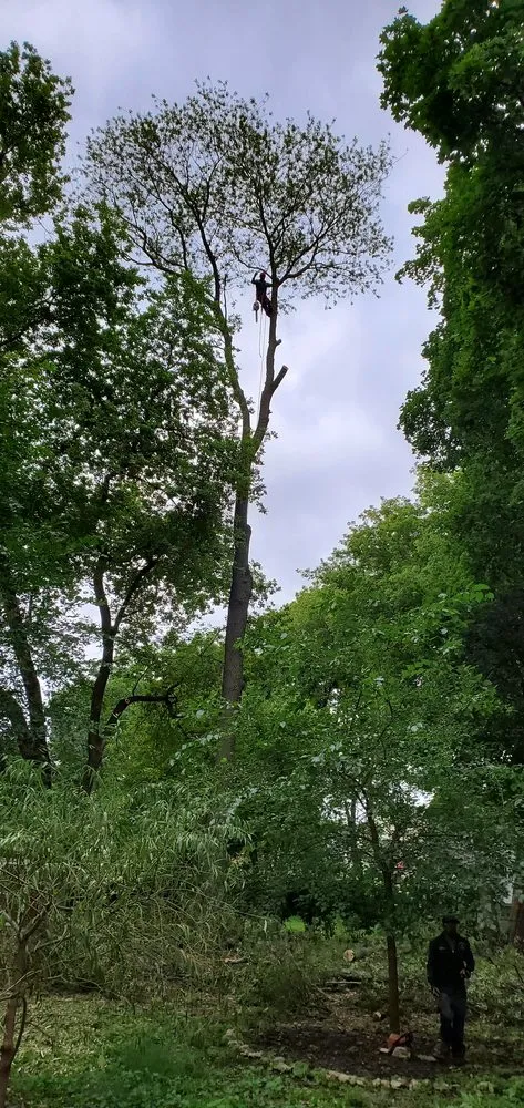 Local lawn mowing service in Woodstock, IL - RV Tree & Landscaping Services