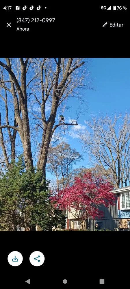 Expert garden landscaping experts serving Woodstock, IL - RV Tree & Landscaping Services