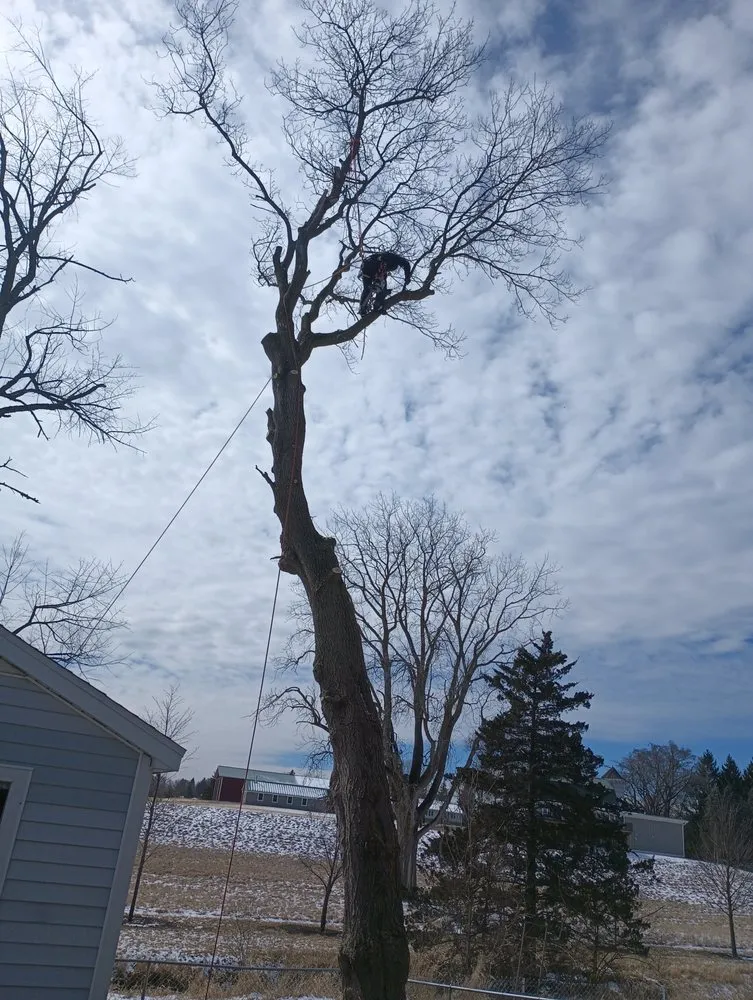 Professional outdoor landscaping in Woodstock, IL by RV Tree & Landscaping Services