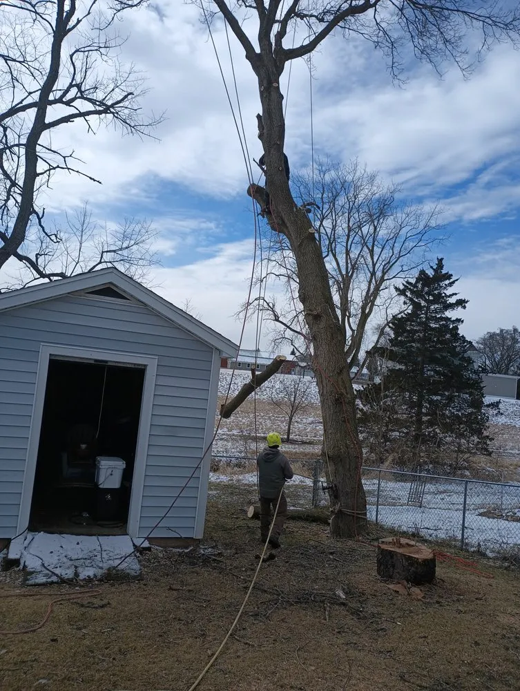 Reliable landscaping services in Woodstock, IL - RV Tree & Landscaping Services