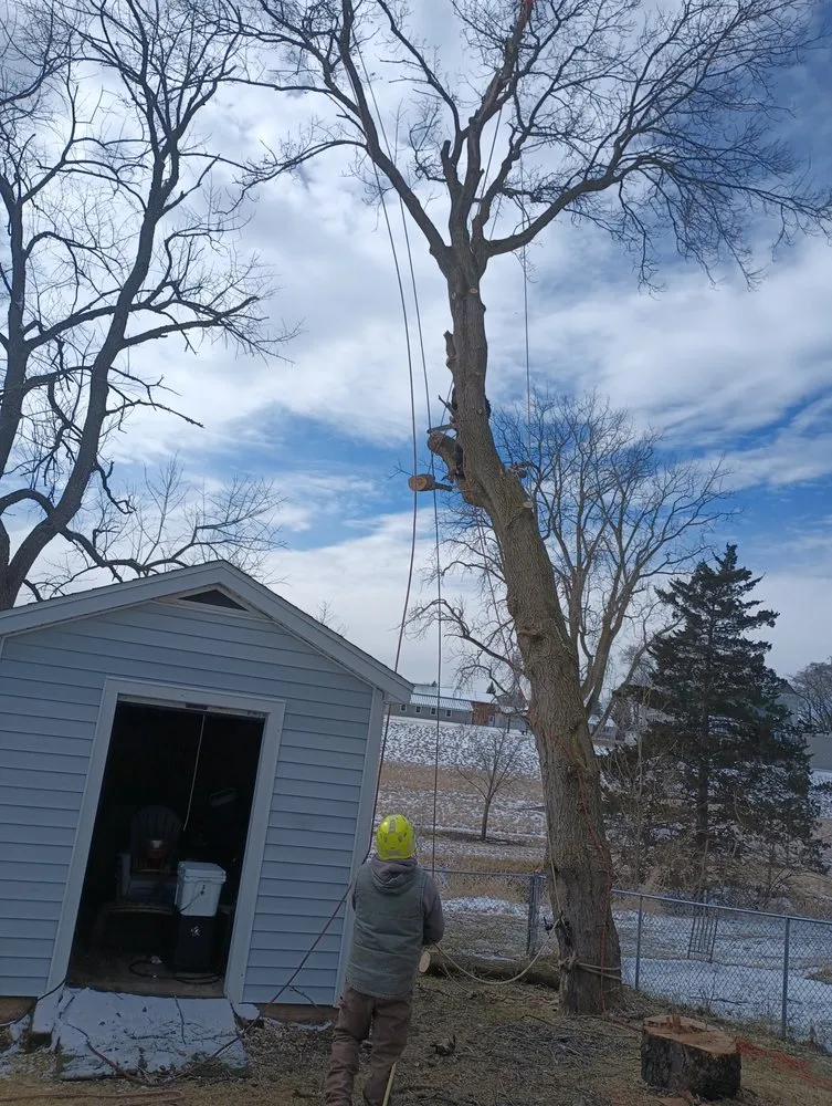 Local residential landscaping in Woodstock, IL - RV Tree & Landscaping Services