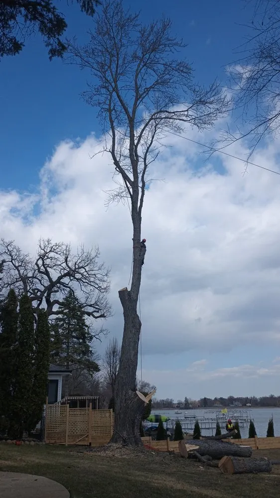 Custom residential landscaping in Woodstock, IL by RV Tree & Landscaping Services