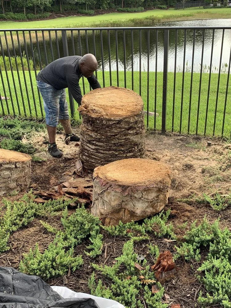 Local landscaping services for year-round maintenance in Boynton Beach, FL by RV Tree Trimming