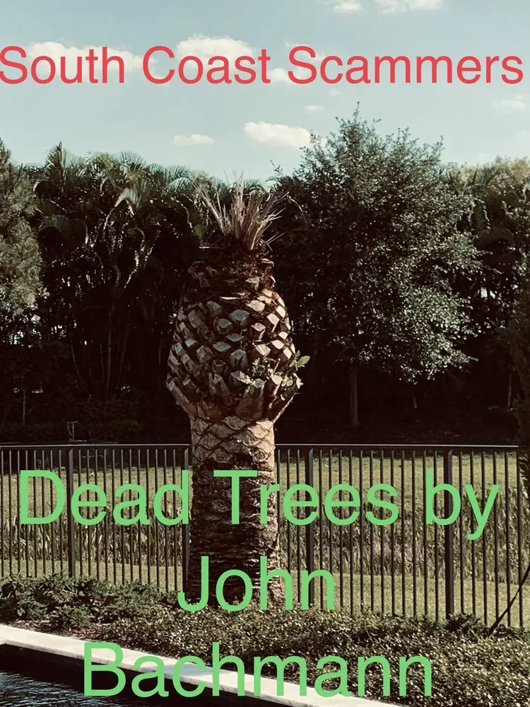 Local lawn care service for outdoor upgrades across Boynton Beach, FL - RV Tree Trimming