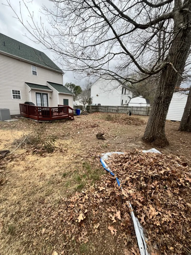 Professional landscaping services for residential properties across Highland Springs, VA - RVA Landscape