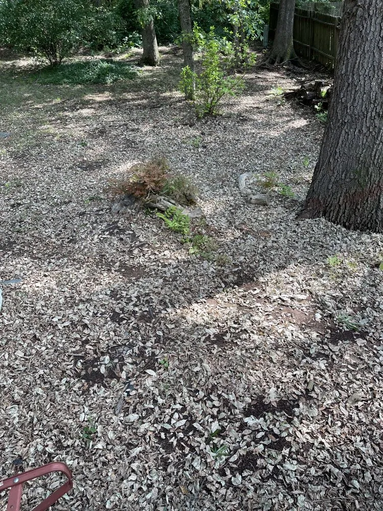 Trusted lawn mowing service in Midlothian, VA by RVA Landscapes