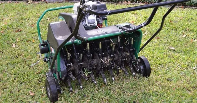 Expert landscaping services experts serving Ampthill, VA - Rva Lawn Care