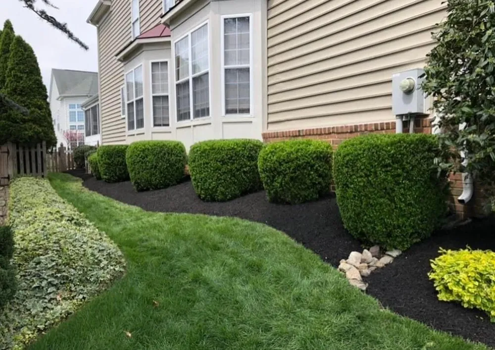 Reliable residential landscaping for year-round maintenance in Ampthill, VA by Rva Lawn Care