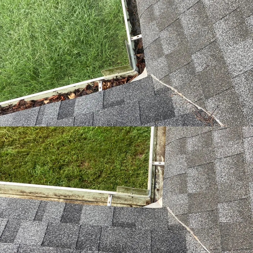 Professional yard cleanup service for year-round maintenance in Ampthill, VA by Rva Lawn Care