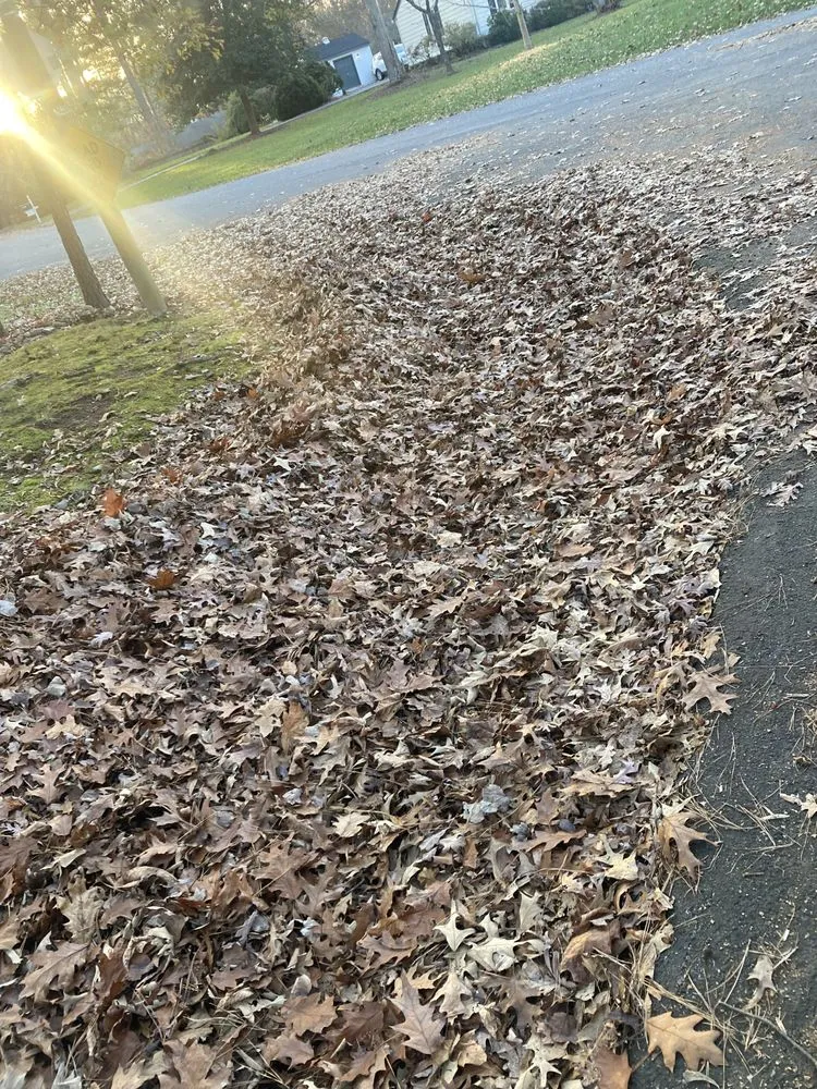 Professional landscaping services in Ampthill, VA by Rva Lawn Care