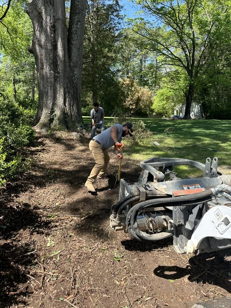 Top-rated yard cleanup service experts serving Glen Allen, VA - RVA Removal