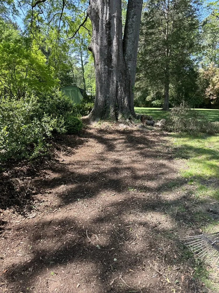 Affordable landscaping services for homes across Glen Allen, VA - RVA Removal