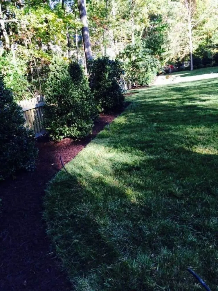 Trusted residential landscaping experts serving Glen Allen, VA - Rvacleaningandlandscape