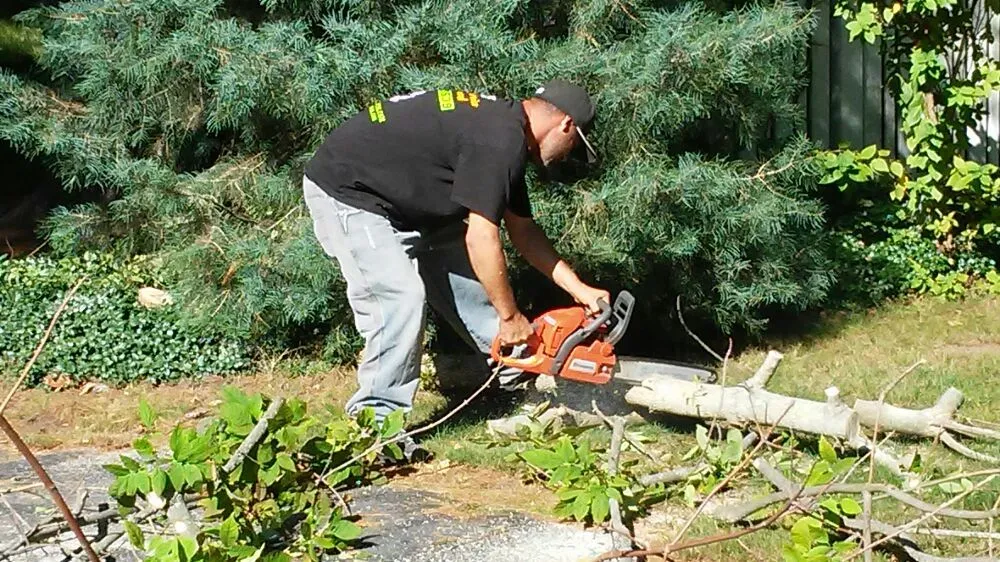 Professional lawn mowing service for outdoor upgrades across Billerica, MA - RVM Landscaping & Snow Removal