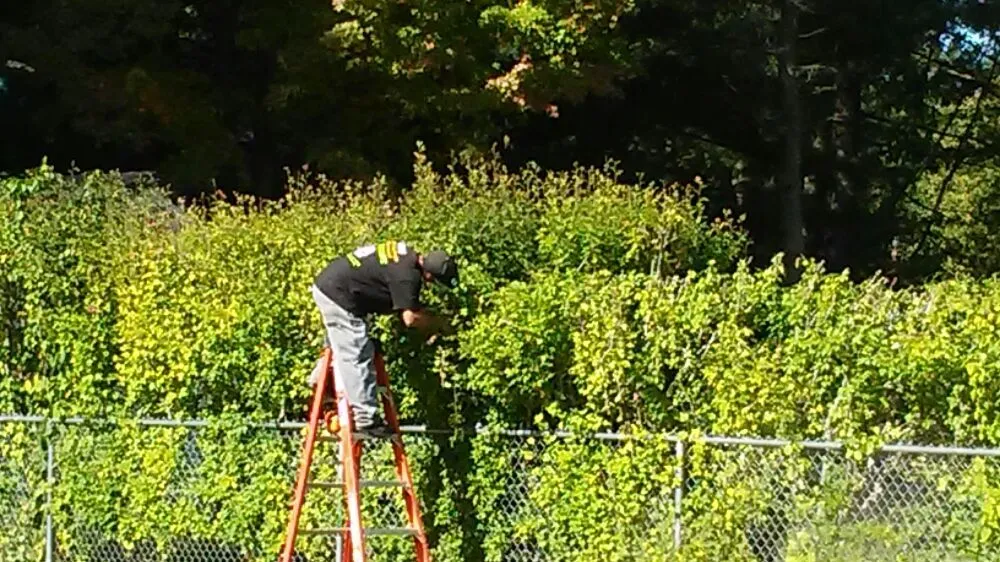 Trusted lawn care service for year-round maintenance in Billerica, MA by RVM Landscaping & Snow Removal